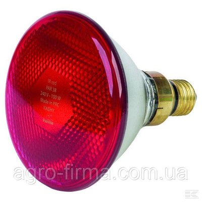 Лампа інфрачервона із товстим склом Червона 175Вт 392 фото